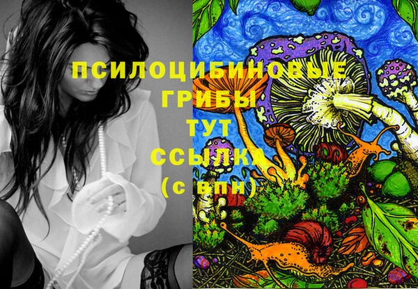 экстази Рославль