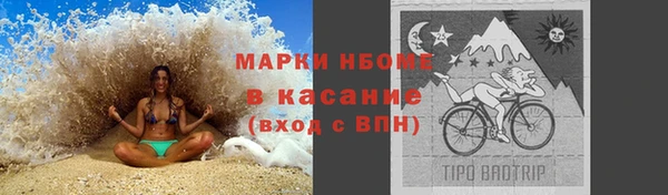 сатива Балахна