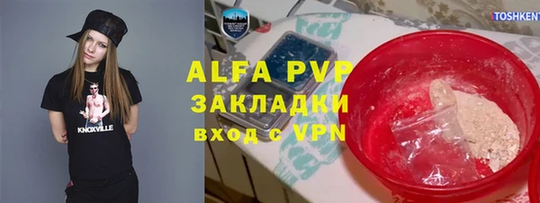 сатива Балахна