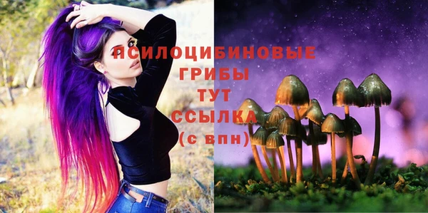 дживик Ростов